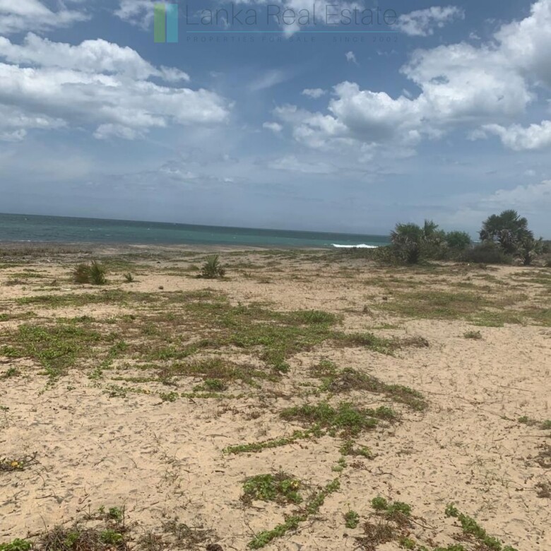 Seven acres of East Coast beachfront north of Pottuvil