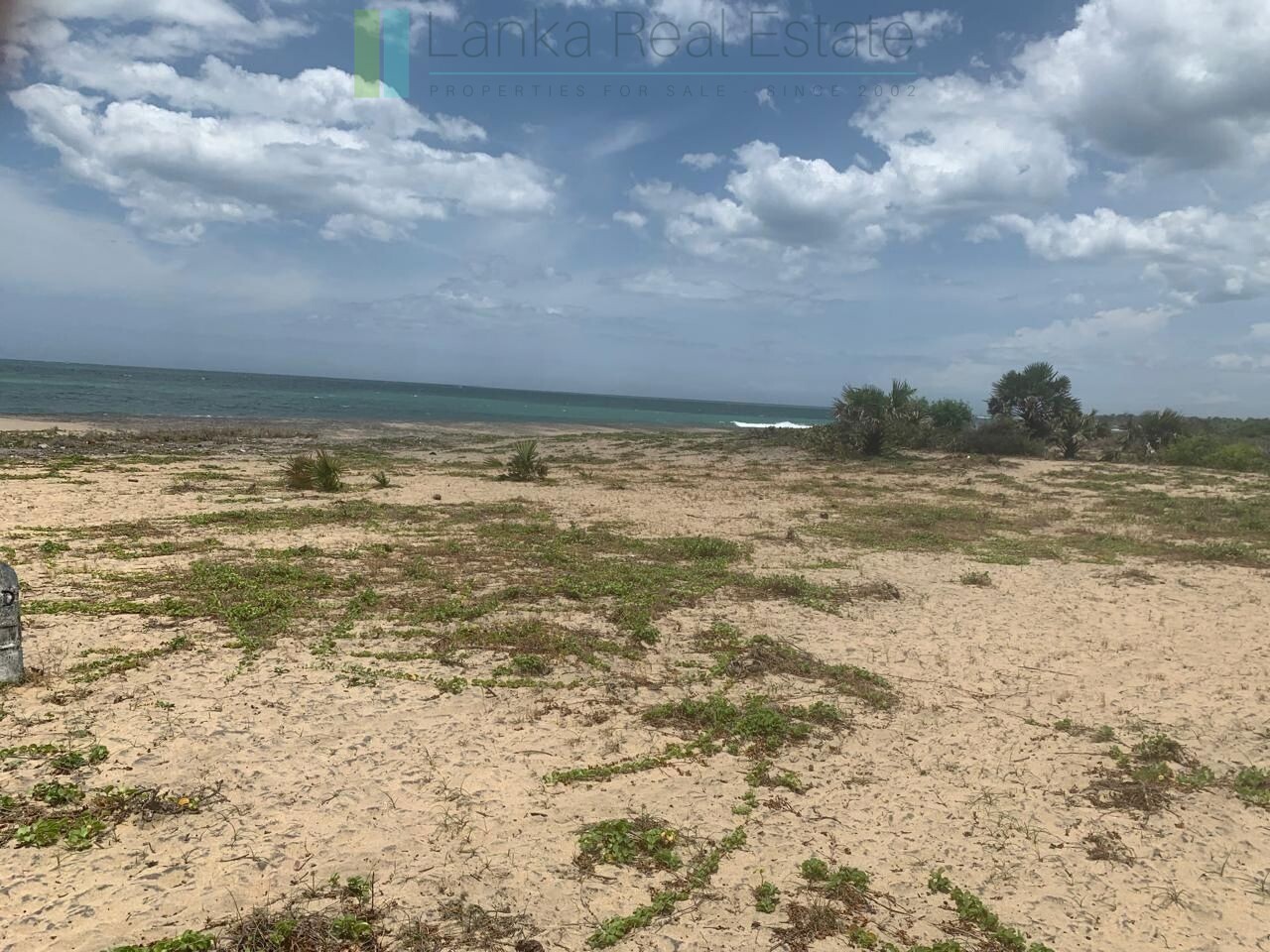 Seven acres of East Coast beachfront north of Pottuvil