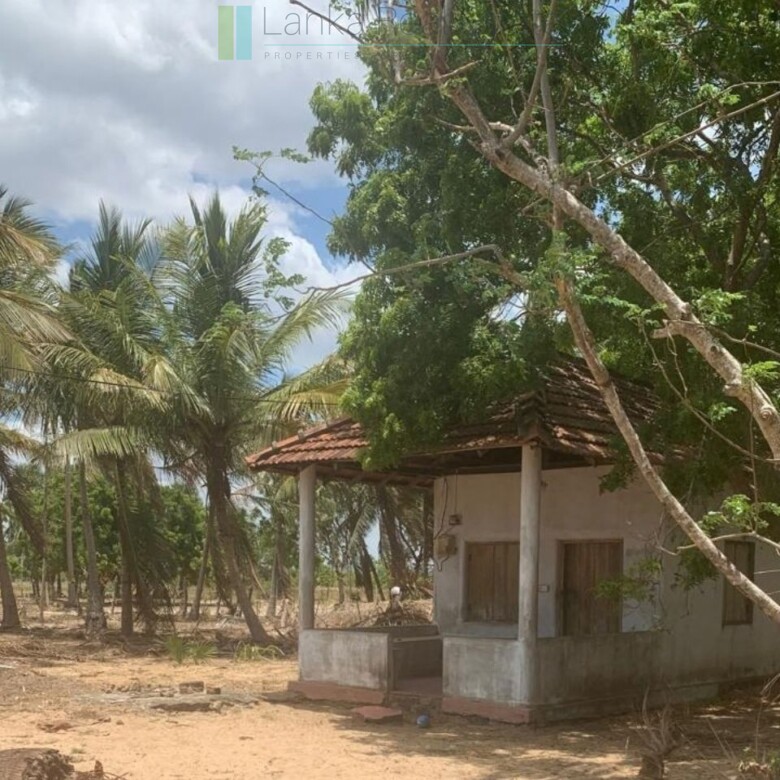 Seven acres of East Coast beachfront north of Pottuvil