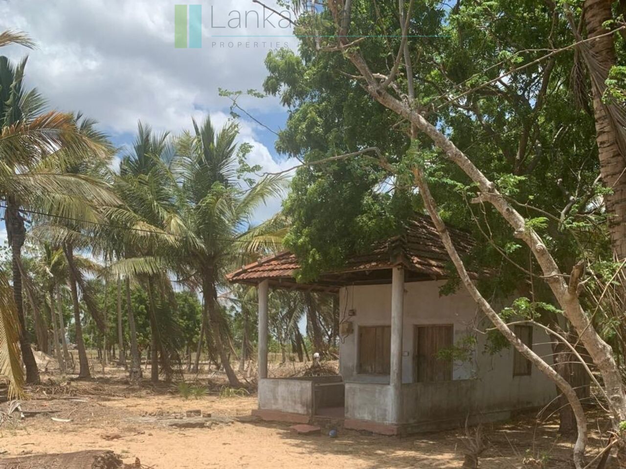 Seven acres of East Coast beachfront north of Pottuvil