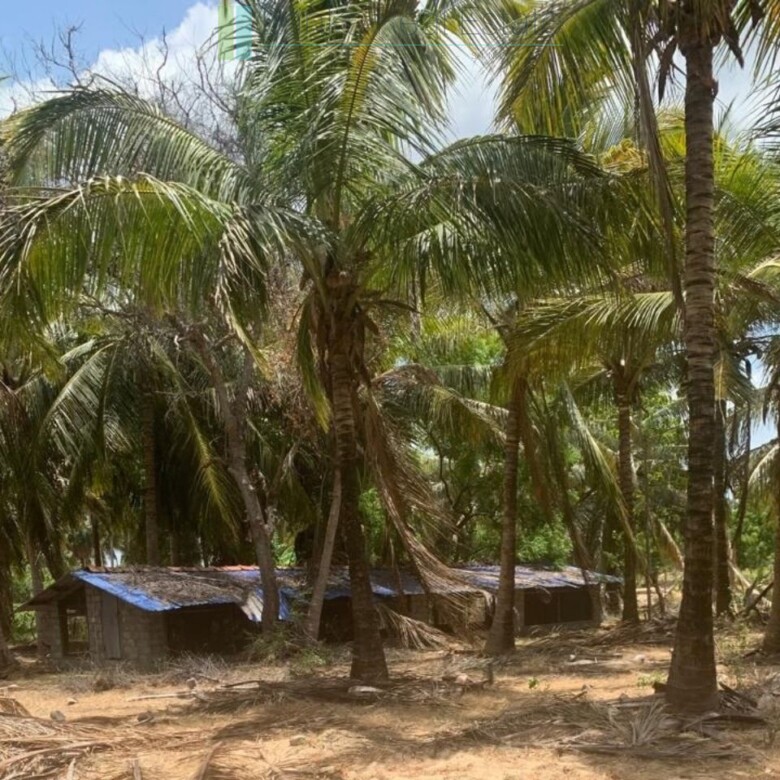 Seven acres of East Coast beachfront north of Pottuvil