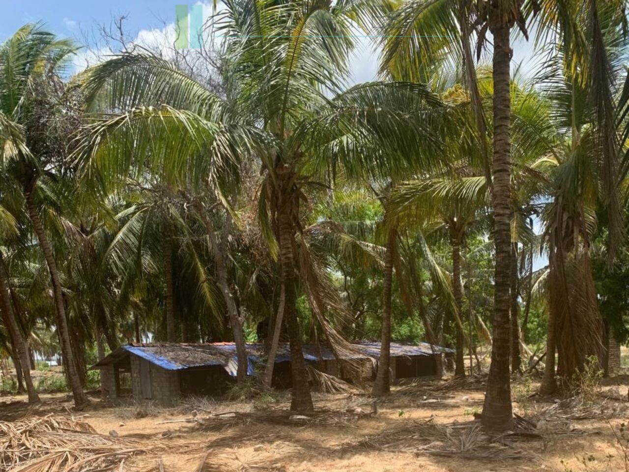 Seven acres of East Coast beachfront north of Pottuvil