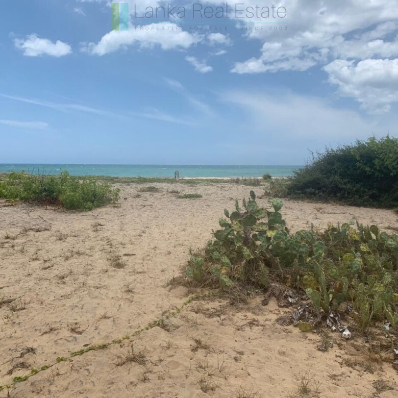 Seven acres of East Coast beachfront north of Pottuvil