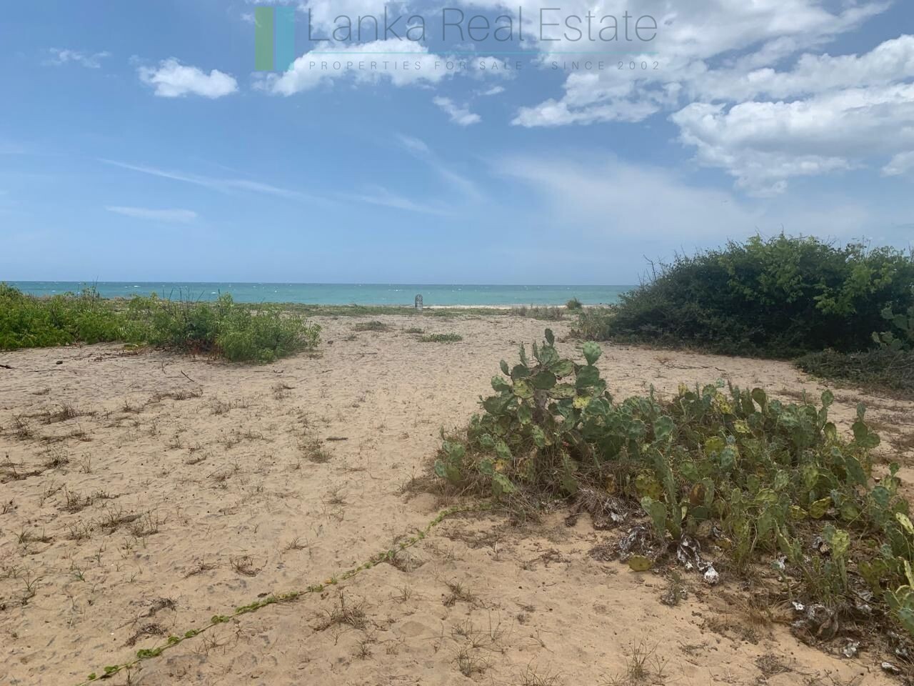 Seven acres of East Coast beachfront north of Pottuvil
