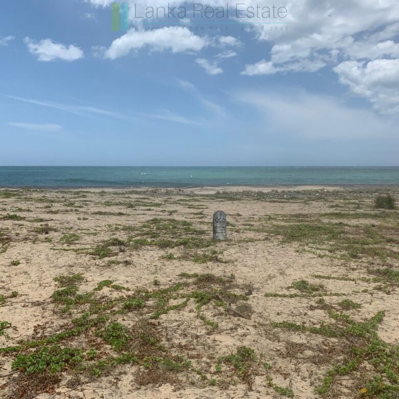 Seven acres of East Coast beachfront north of Pottuvil