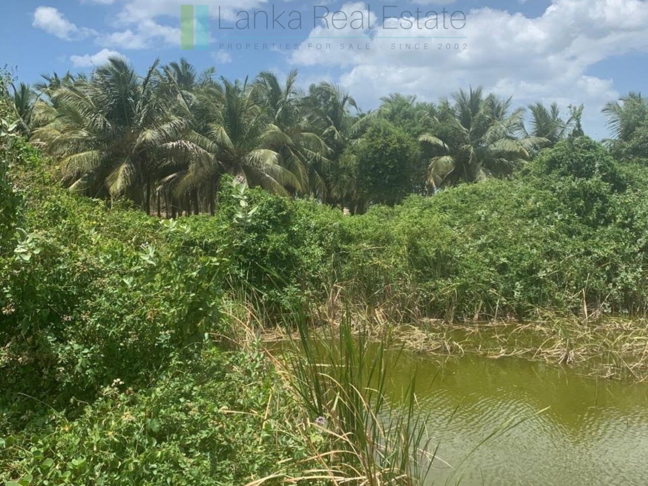 Seven acres of East Coast beachfront north of Pottuvil