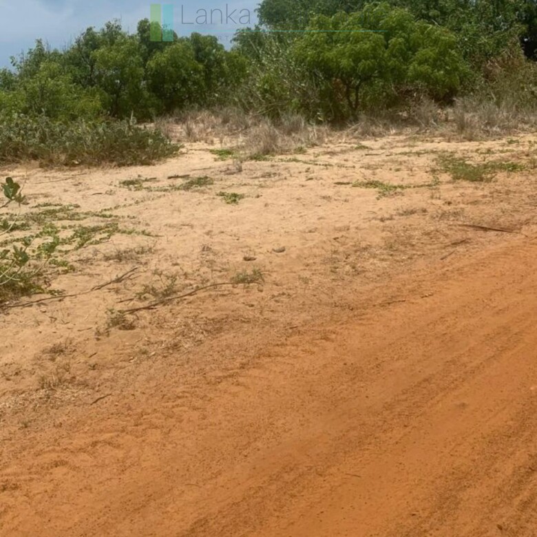 Seven acres of East Coast beachfront north of Pottuvil