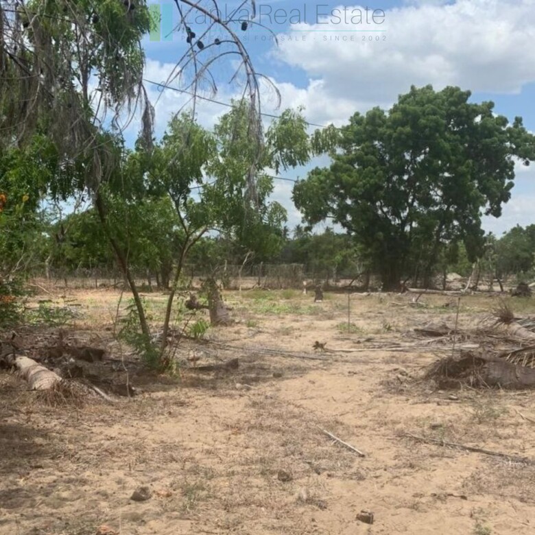 Seven acres of East Coast beachfront north of Pottuvil