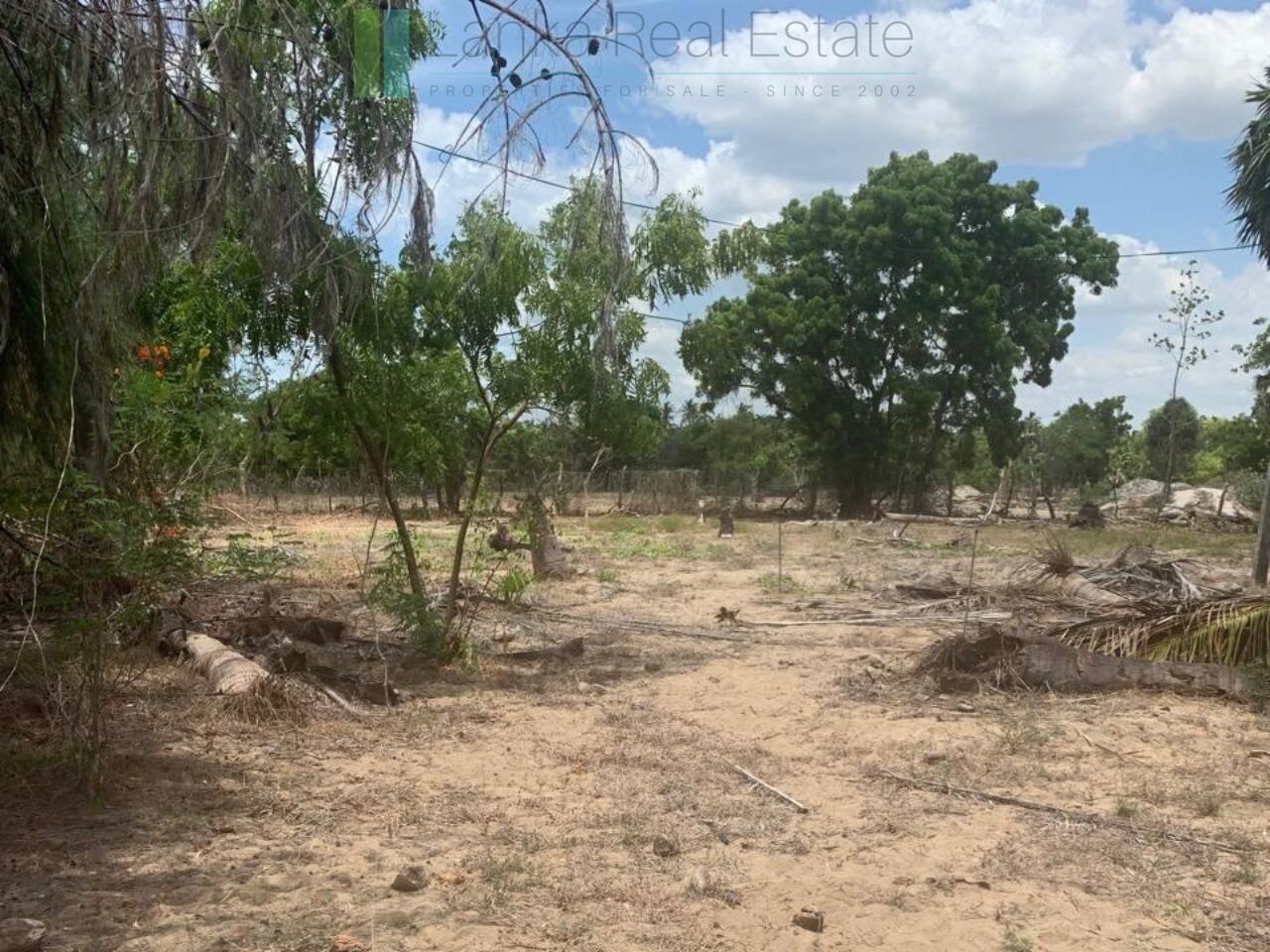 Seven acres of East Coast beachfront north of Pottuvil