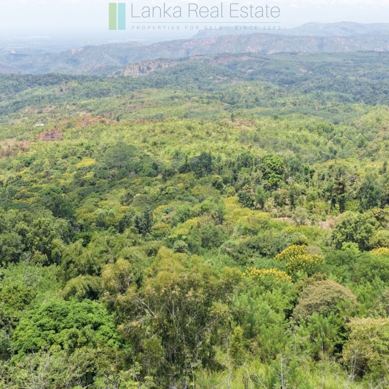 Eight acres of potential in Beragala