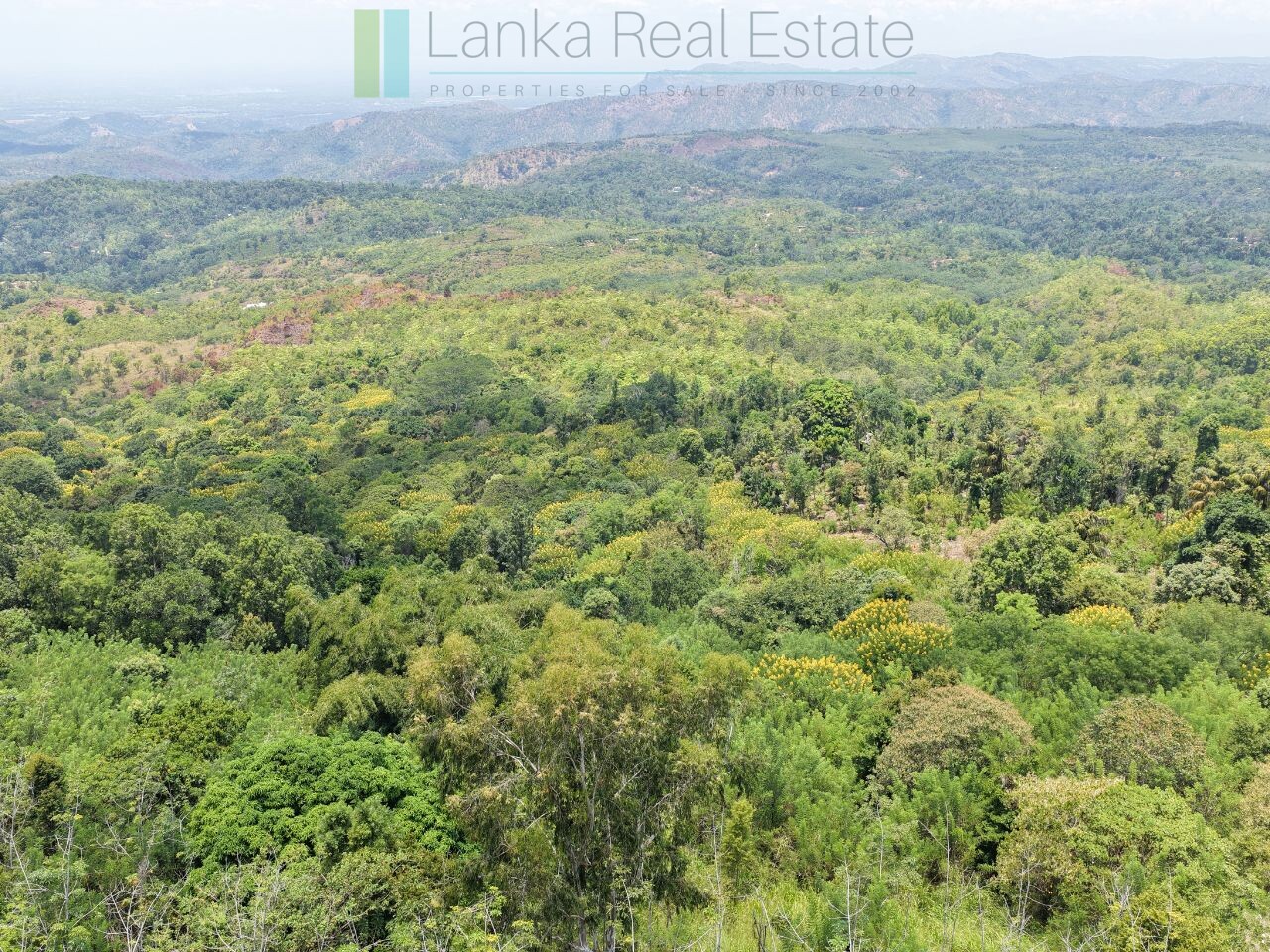 260905-beragala (1) Eight acres of potential in Beragala