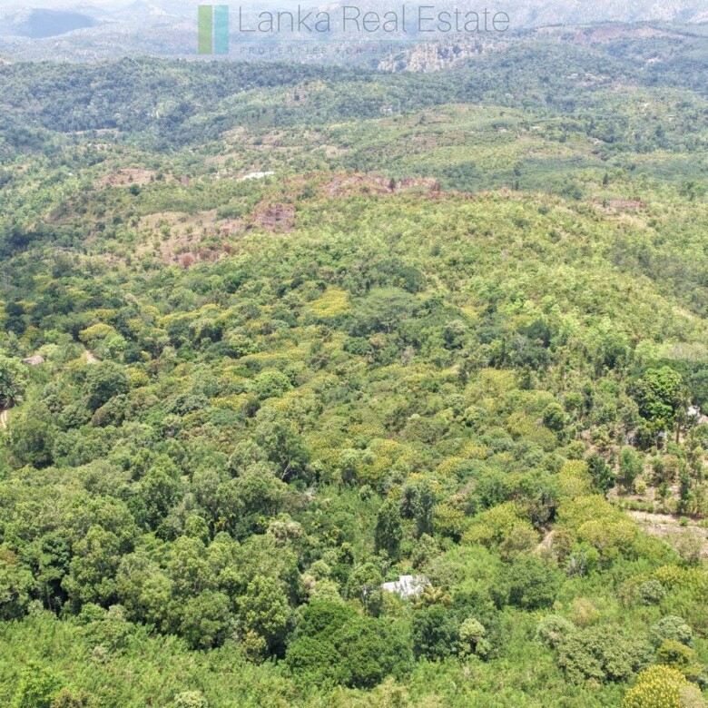 Eight acres of potential in Beragala