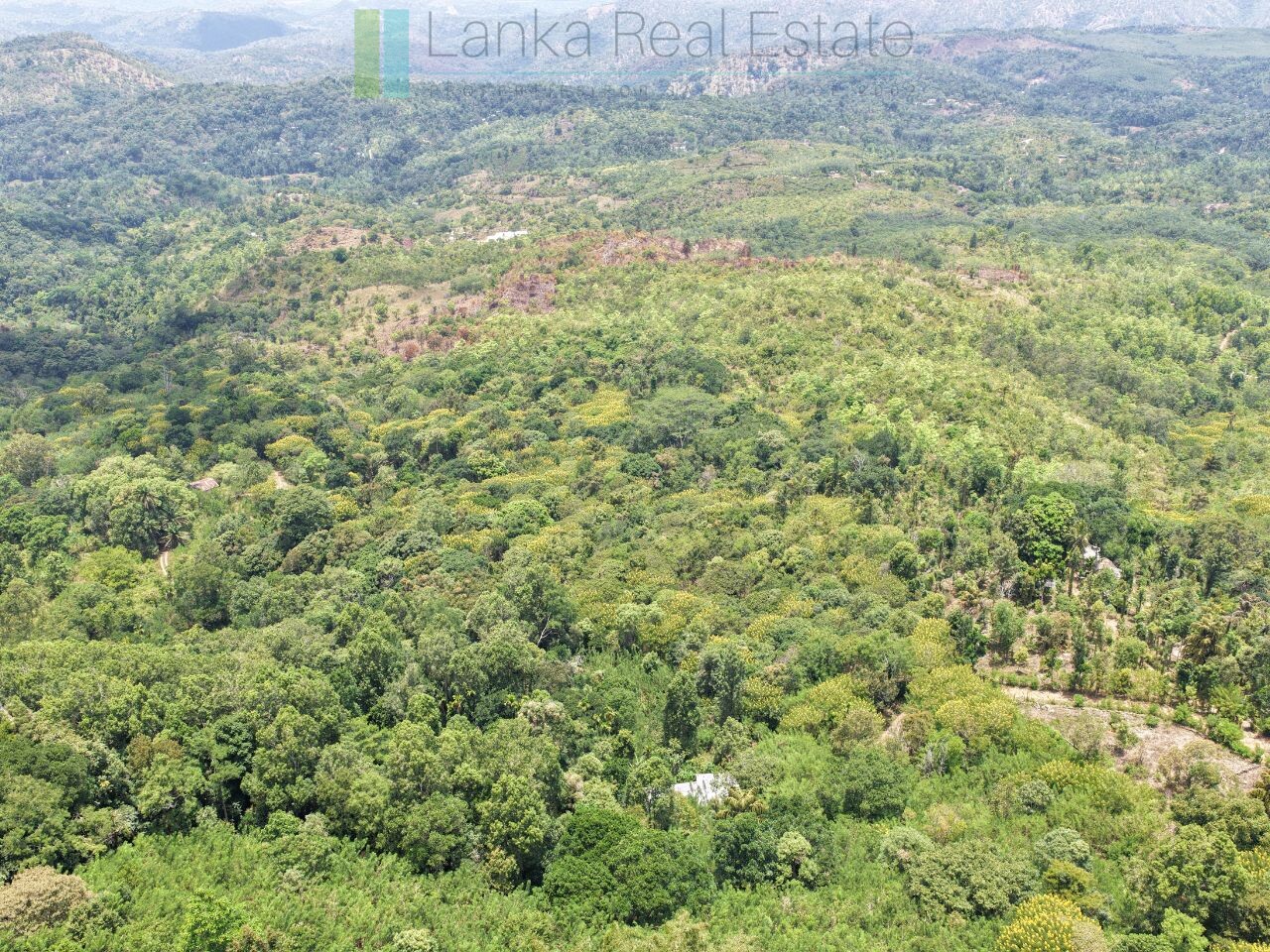 Eight acres of potential in Beragala