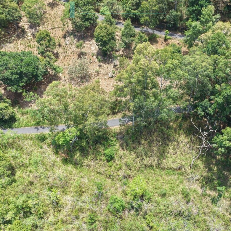 Eight acres of potential in Beragala