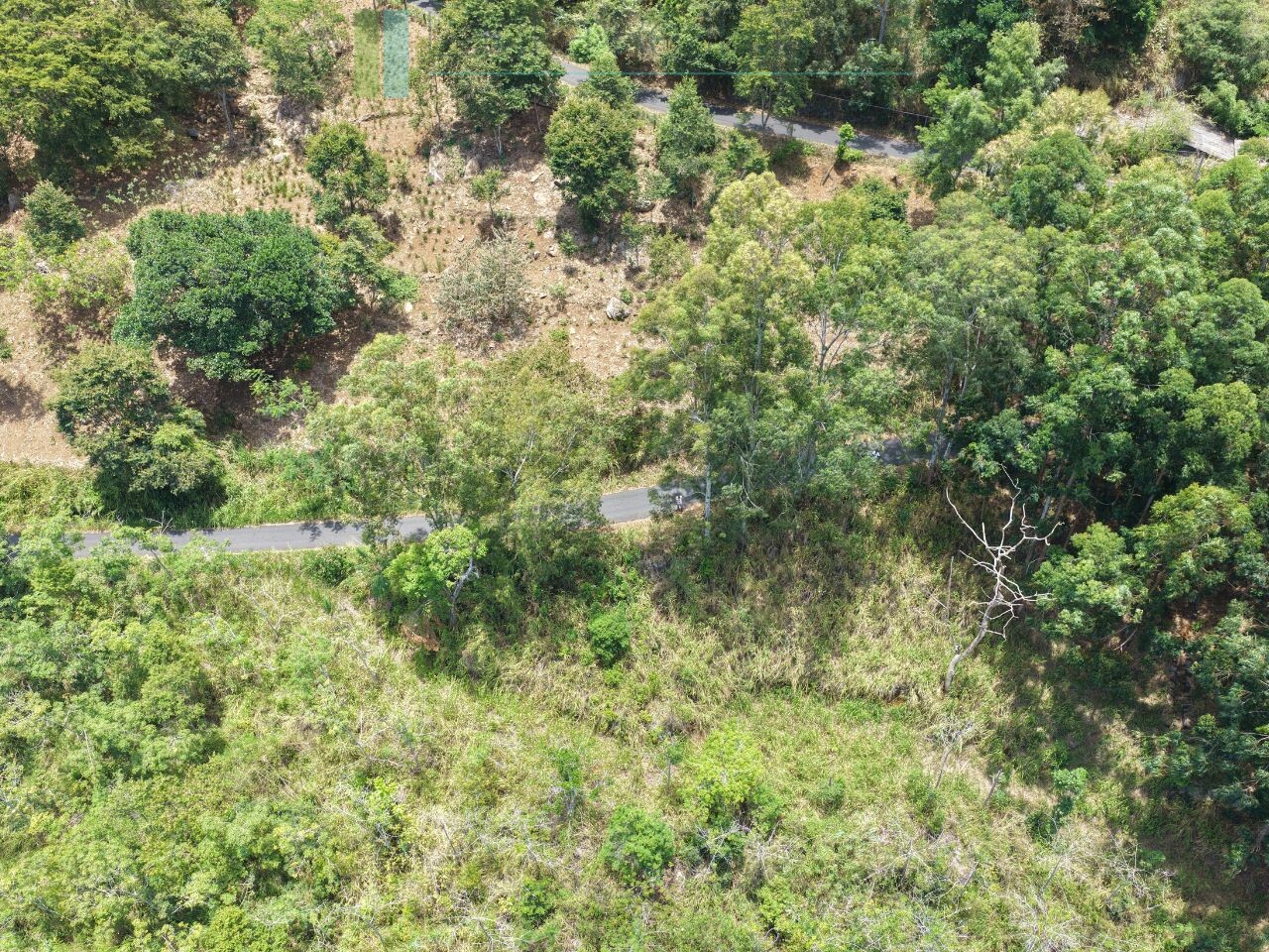 Eight acres of potential in Beragala