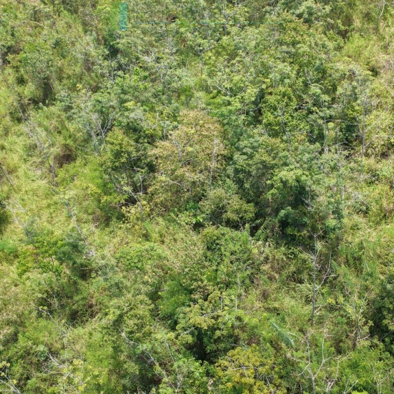 Eight acres of potential in Beragala