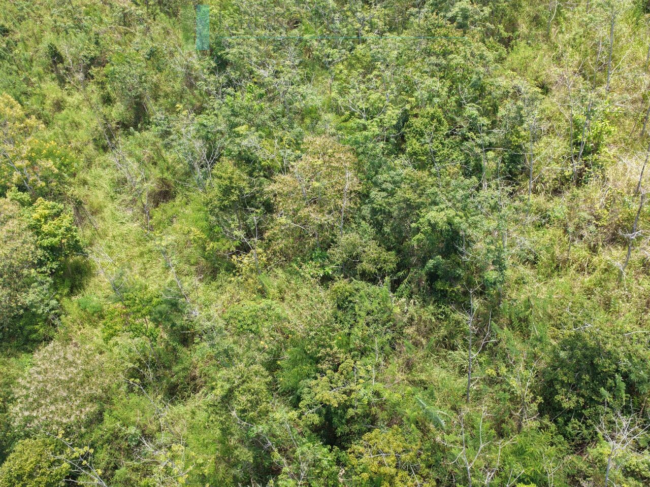 Eight acres of potential in Beragala