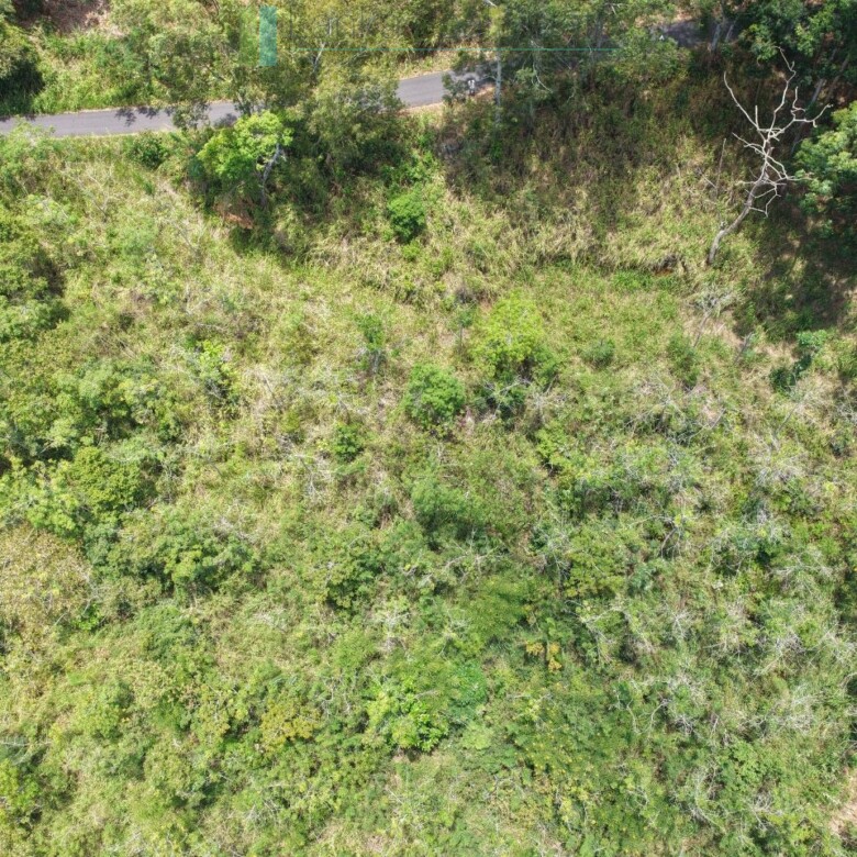 Eight acres of potential in Beragala