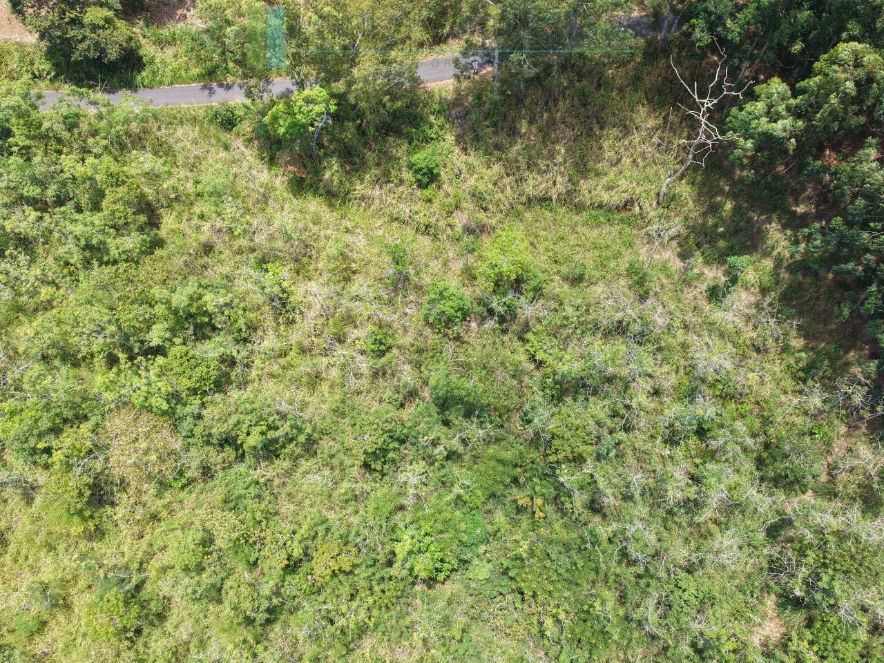 Eight acres of potential in Beragala