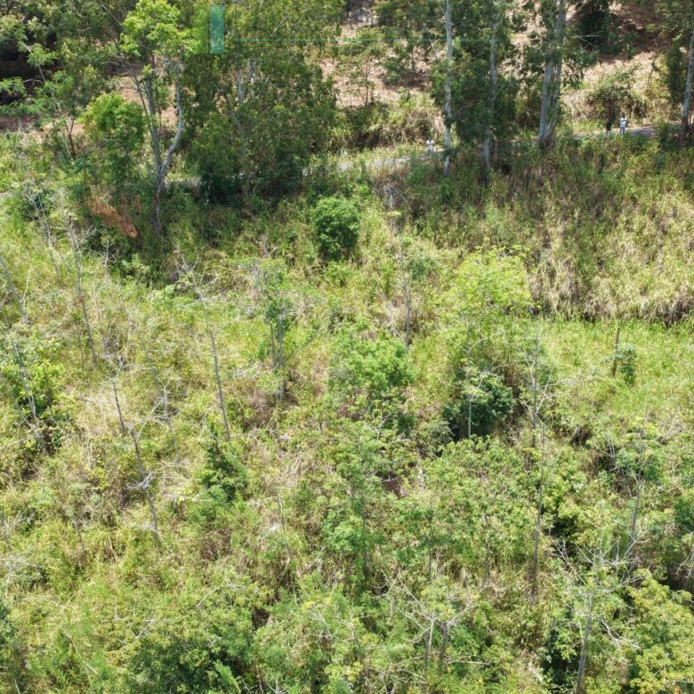 Eight acres of potential in Beragala