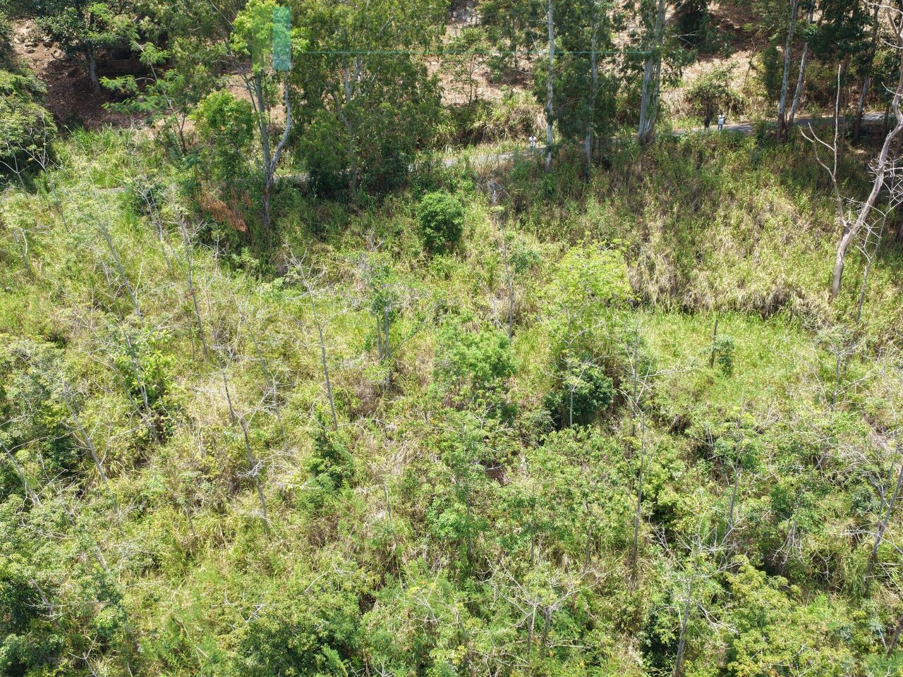 Eight acres of potential in Beragala
