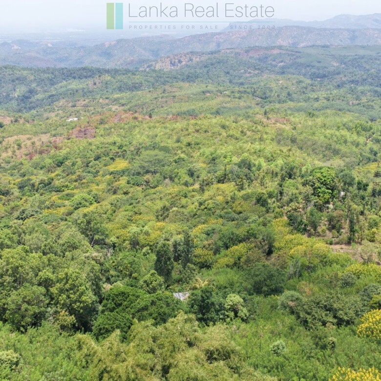 Eight acres of potential in Beragala