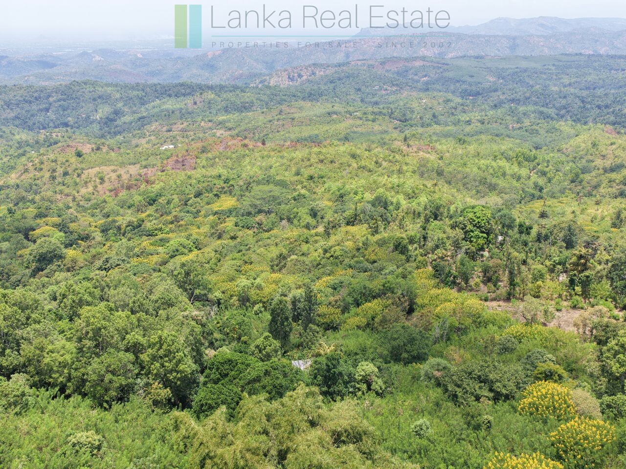 Eight acres of potential in Beragala