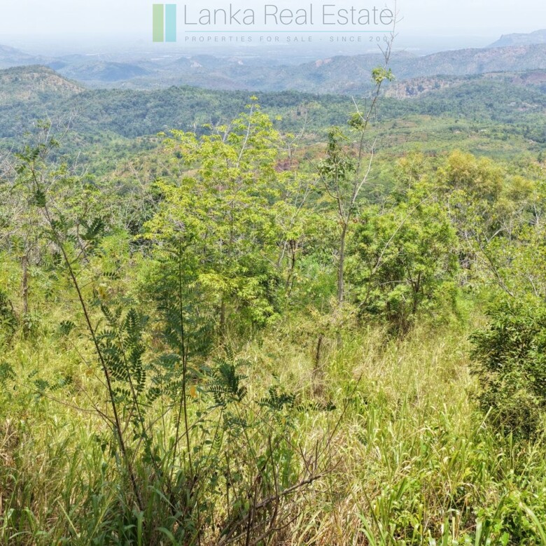 Eight acres of potential in Beragala