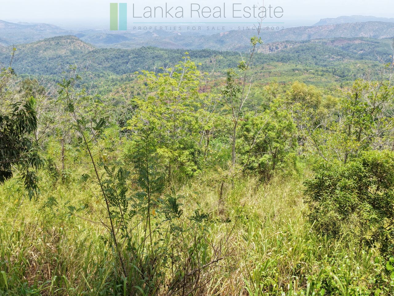 Eight acres of potential in Beragala