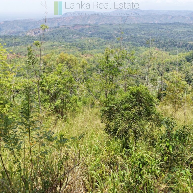 Eight acres of potential in Beragala