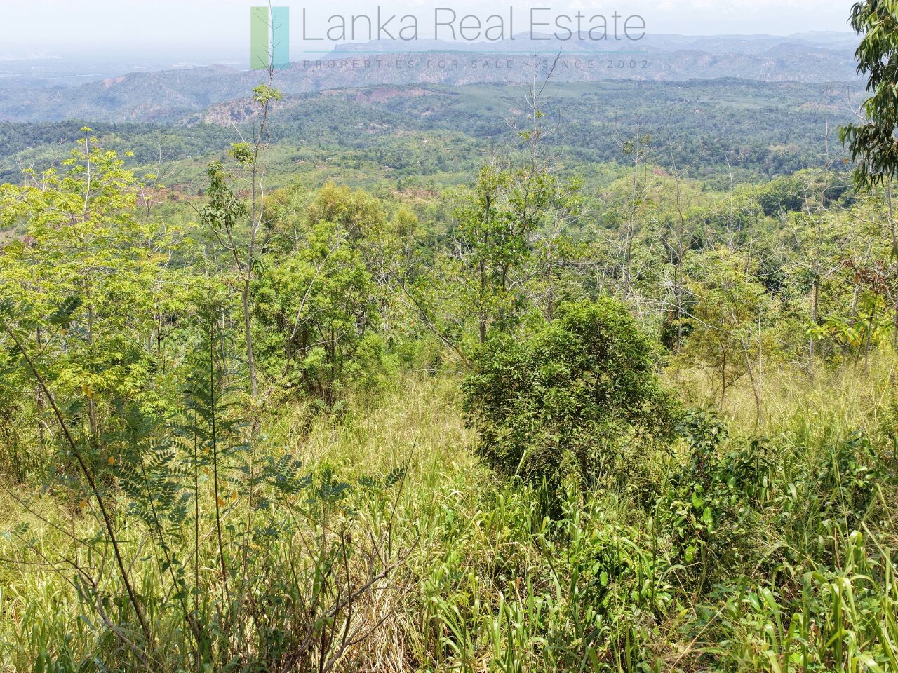 Eight acres of potential in Beragala