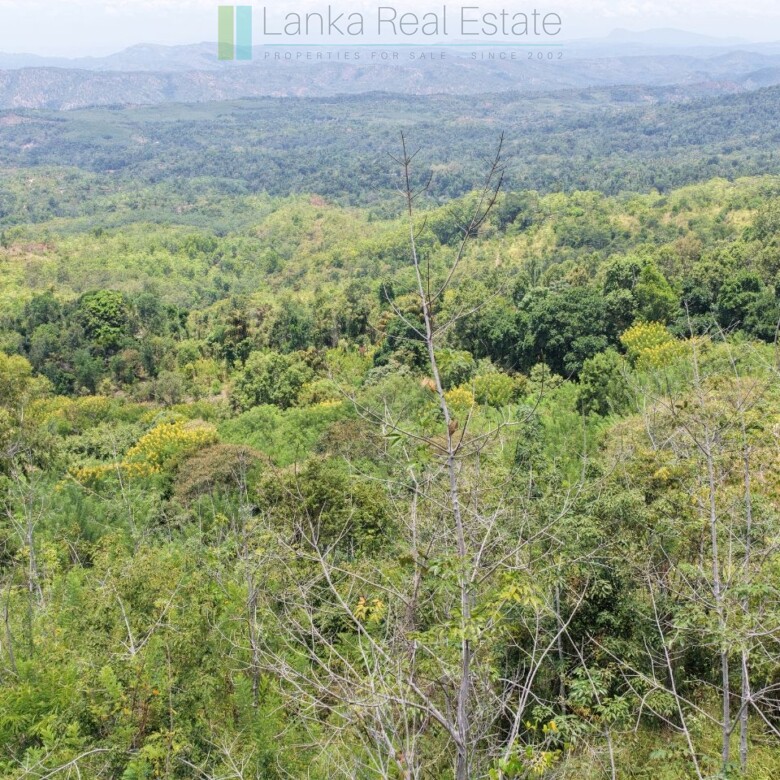 Eight acres of potential in Beragala