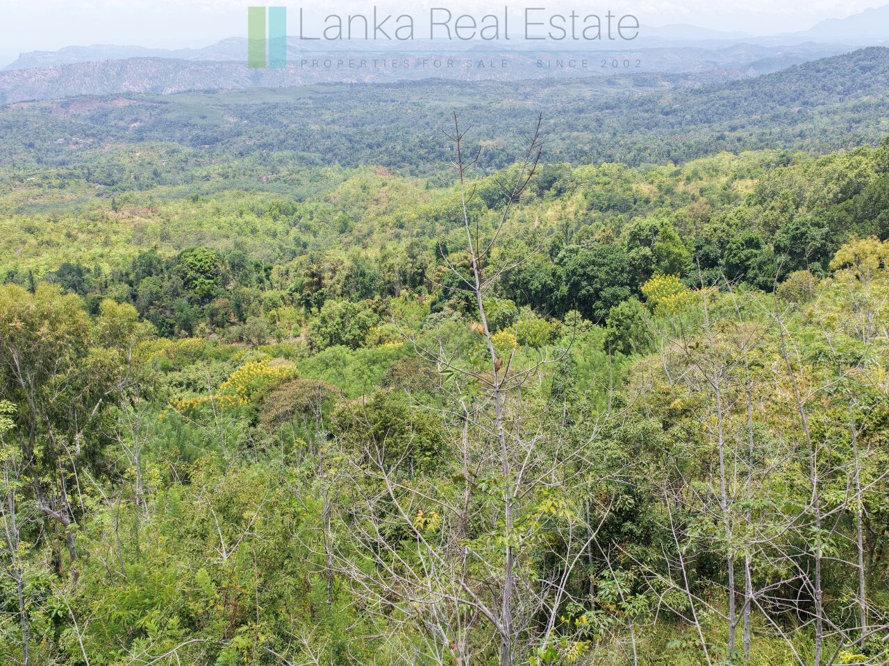 Eight acres of potential in Beragala