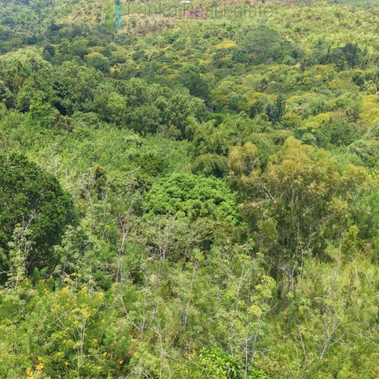 Eight acres of potential in Beragala