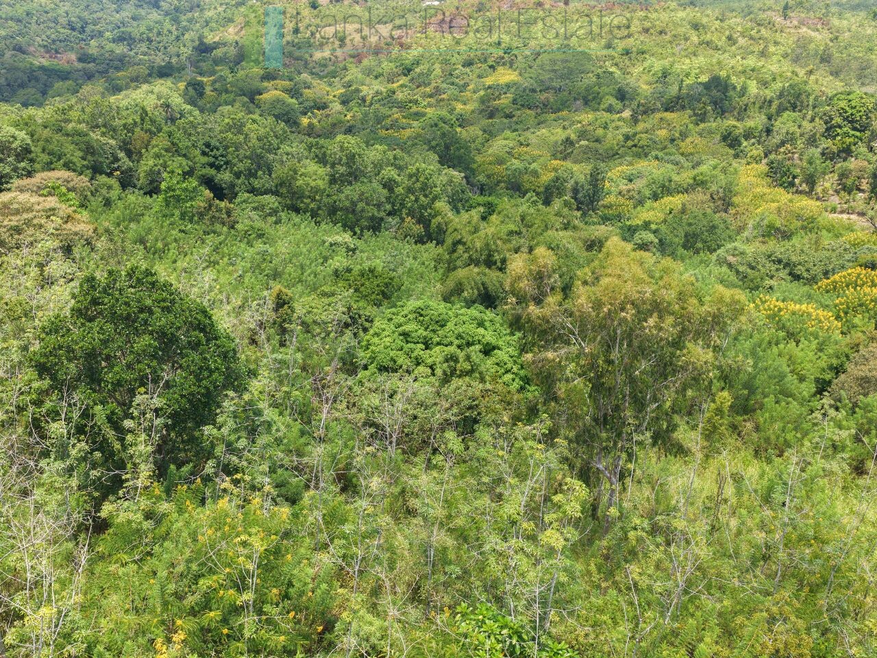 Eight acres of potential in Beragala