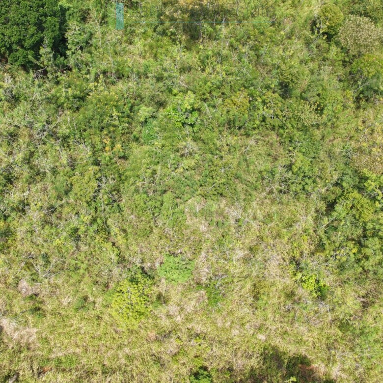 Eight acres of potential in Beragala
