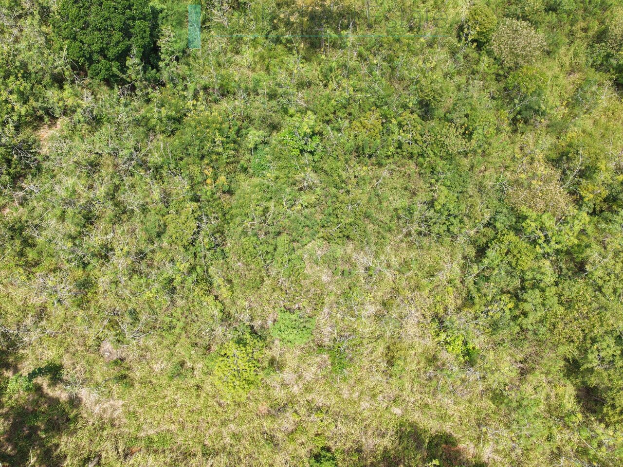 Eight acres of potential in Beragala