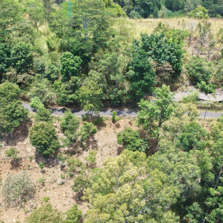 Eight acres of potential in Beragala
