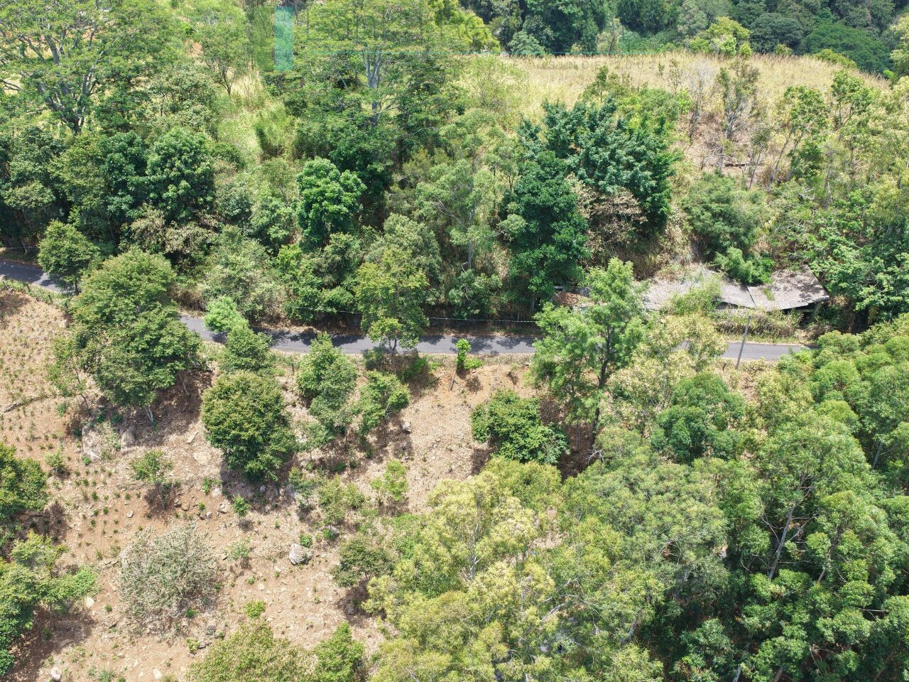Eight acres of potential in Beragala