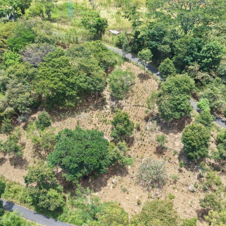 Eight acres of potential in Beragala