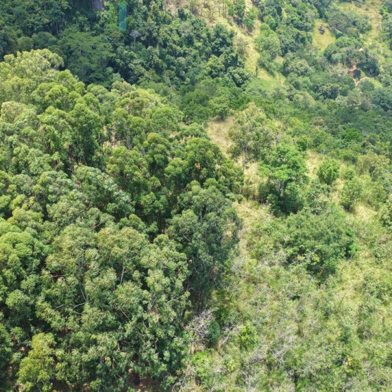 Eight acres of potential in Beragala