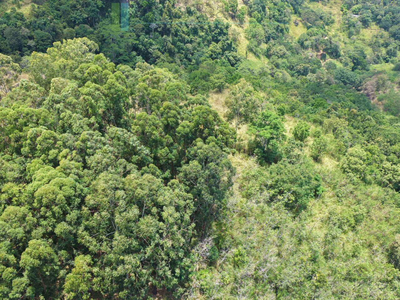 Eight acres of potential in Beragala