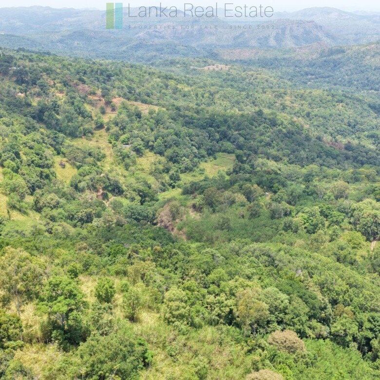 Eight acres of potential in Beragala