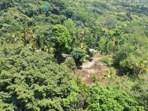 Established mixed estate at Nikapota near Beragala