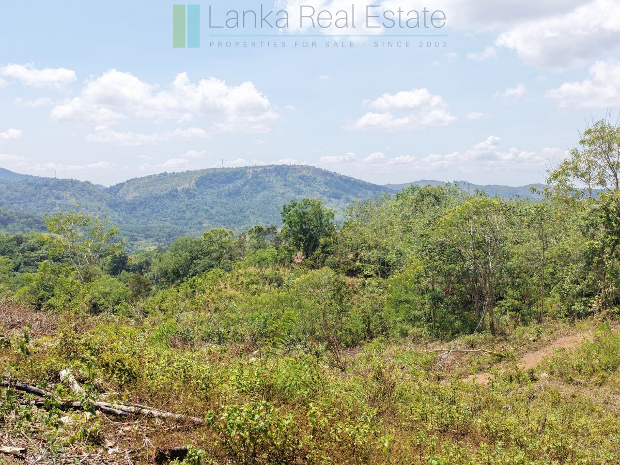 Established mixed estate at Nikapota near Beragala