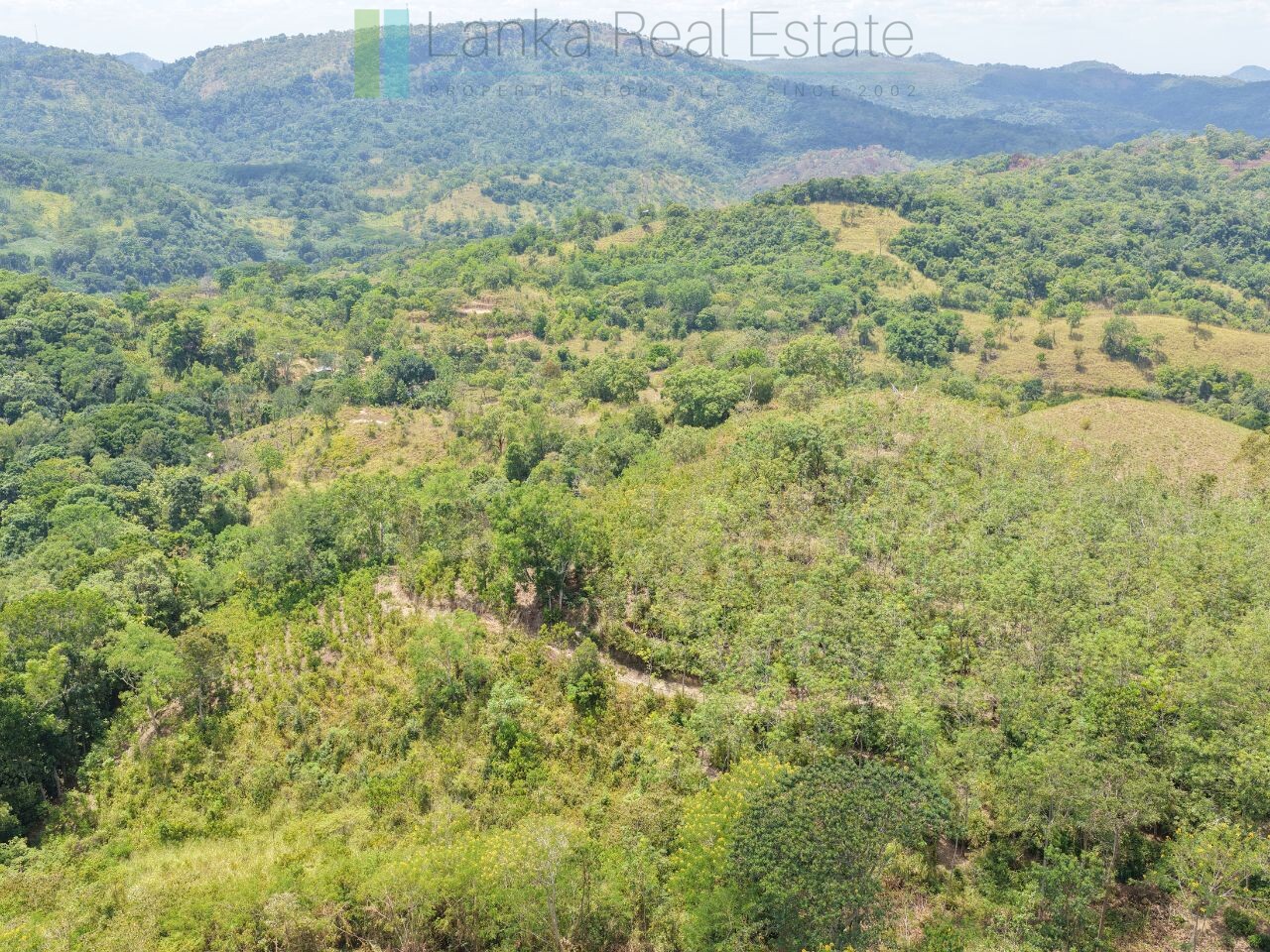 Established mixed estate at Nikapota near Beragala