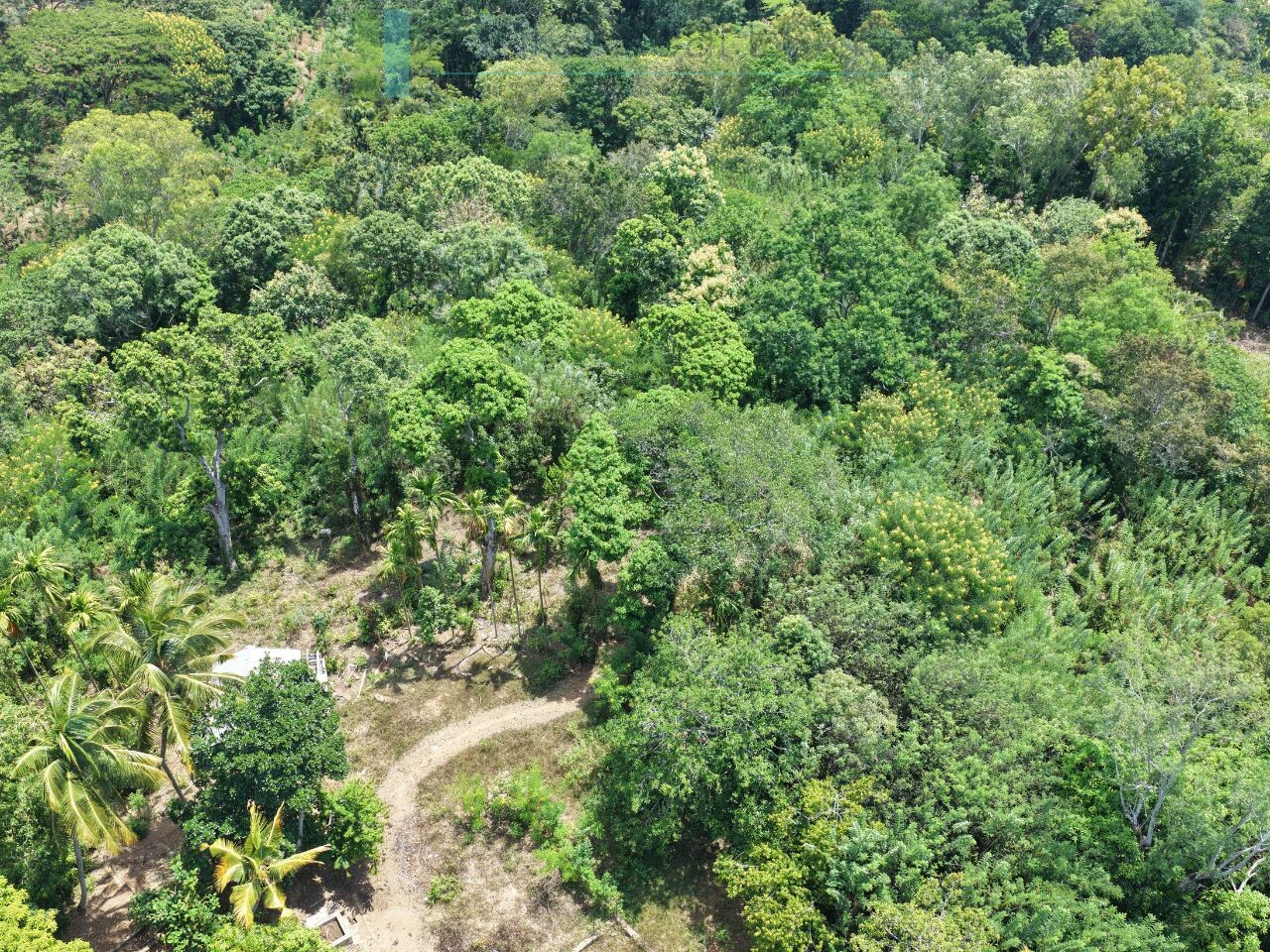 Established mixed estate at Nikapota near Beragala