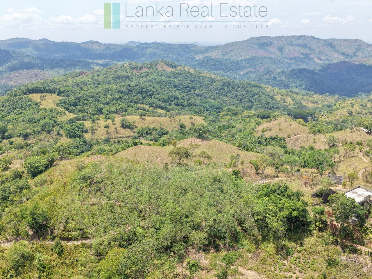 Established mixed estate at Nikapota near Beragala