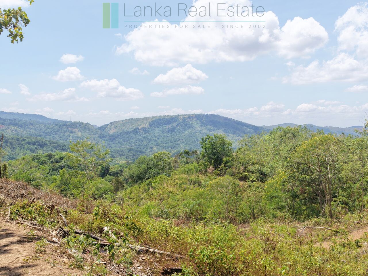 Established mixed estate at Nikapota near Beragala