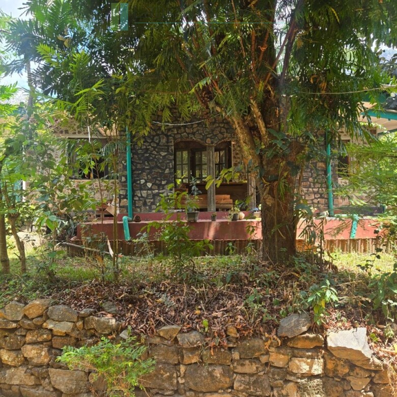 Established mixed estate at Nikapota near Beragala